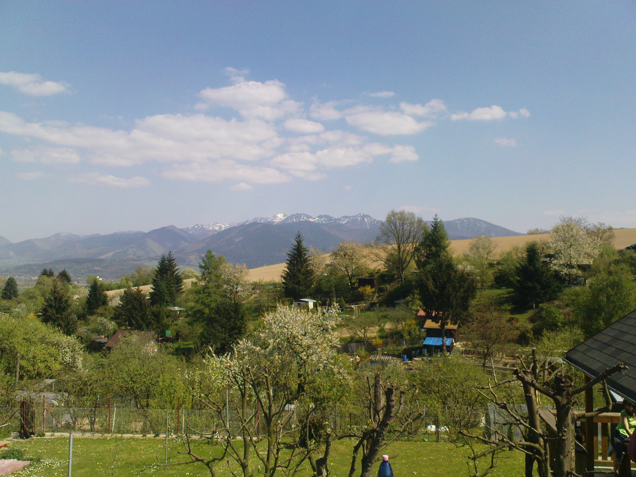 DSC00378.JPG