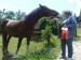 DSC00456.JPG