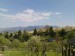 DSC00378.JPG